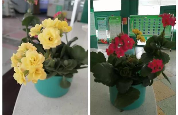 20200323_084310_450660.jpg 微信图片_20200302100121.jpg