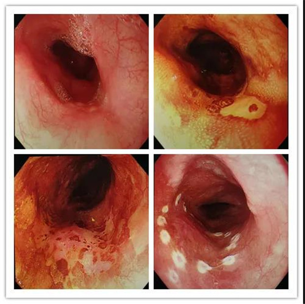 20200403_093326_44491.jpg 33.jpg